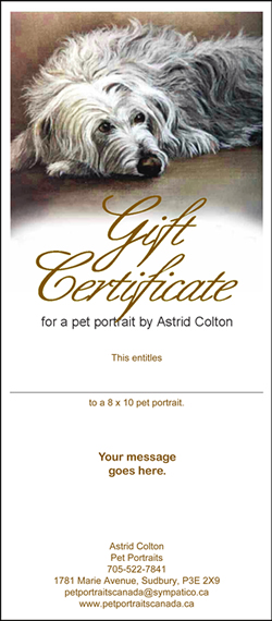 gift-certificate